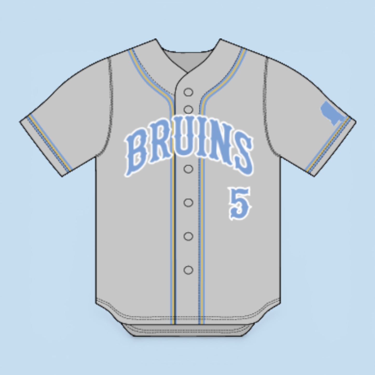 MS Bruins | Bruins Grey Full Button Jersey