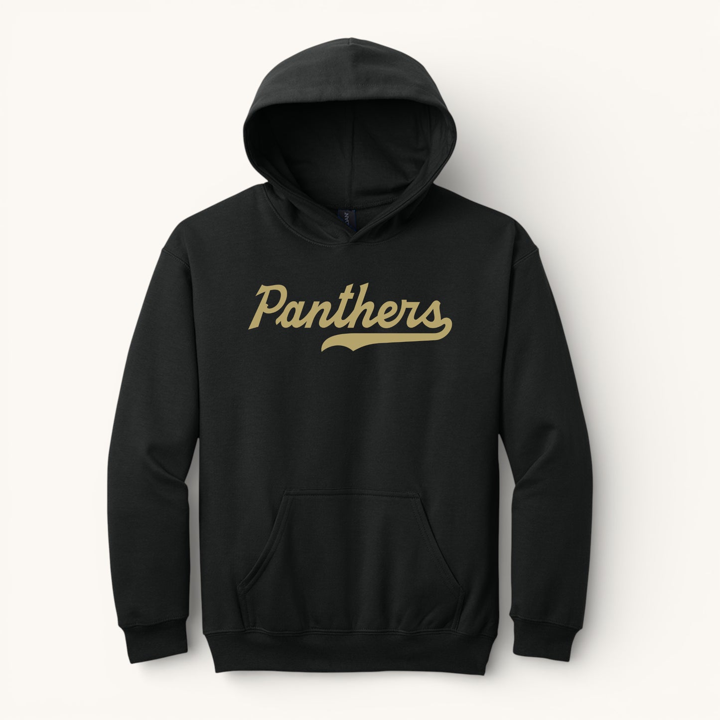 Canton Academy | Panthers Heavyweight Black Hoodie
